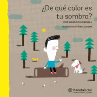 ¿DE QUÉ COLOR ES TU SOMBRA?