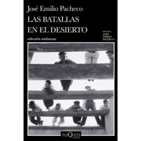 LAS BATALLAS EN EL DESIERTO