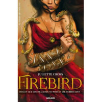 FIREBIRD (EL FUEGO QUE NOS UNE I)