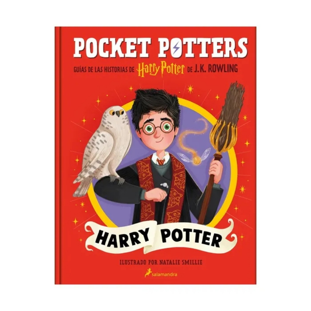 POCKET POTTERS – HARRY POTTER